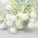 Flowers for decorating "Shabo clove" White 1 bouquet = 6 heads 17 cm