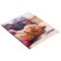 Diary for grades 1-4, "kitten", solid cover 7BC, glossy lamination, 48 sheets