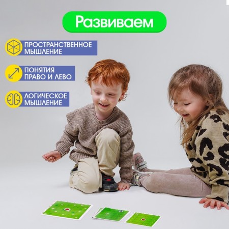 Neuropsychological game "Where is the fly?"-2