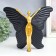 Souvenir Polystone "Baro-Babochka" Black with gold 25x8x20.5 cm