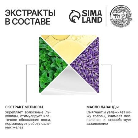 Hair shampoo with lavender butter and lemon balm extract, thick and strong, 300 ml, Eco Lab by Ural Lab-2