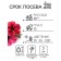 Superhole Cascade flowers "Burgundy", F1, 10 pcs