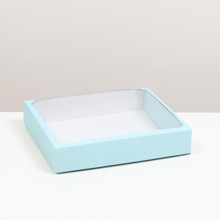 Box the team, cover is, with a window, emerald, 37 x 32 x 7 cm