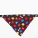 A collar with a scarf "Bright Life", 32 x 1 cm, brown