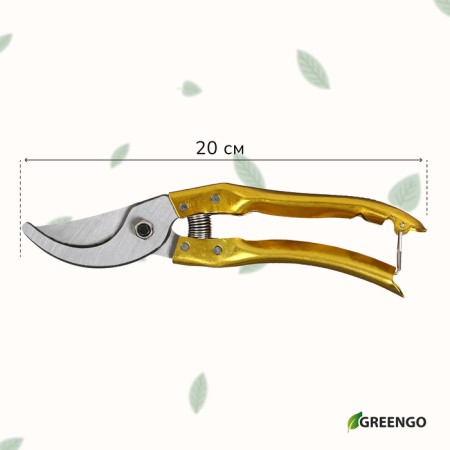 Planning coater, 8 "(20 cm), with metal handles, with a spare spring, Greengo-9