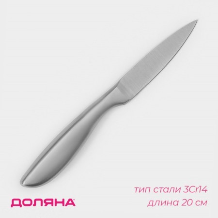 Knife for vegetables Salomon kitchen shade, blade length 9.5 cm, silver color