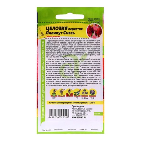 Flower seeds holosa lilliput mixture of periyas, o, CP, 0.1 g-3