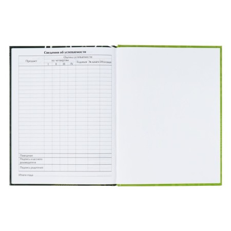Universal diary for grades 1-11, "football", solid cover 7BC, glossy lamination, 40 sheets-9