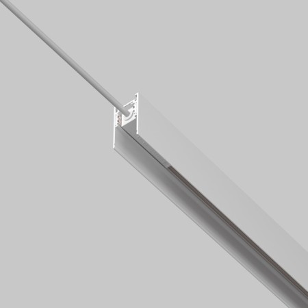 Entering EXILITY, White-2