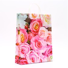 Pack of Rose Rose, soft plastic, 42 x 32 cm