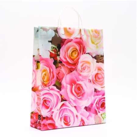 Pack of Rose Rose, soft plastic, 42 x 32 cm