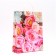 Pack of Rose Rose, soft plastic, 42 x 32 cm