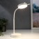 Table sensory lamp 1523/1wt 30hLED 3W AKB USB 2 white modes 10x10x41 cm Risalux