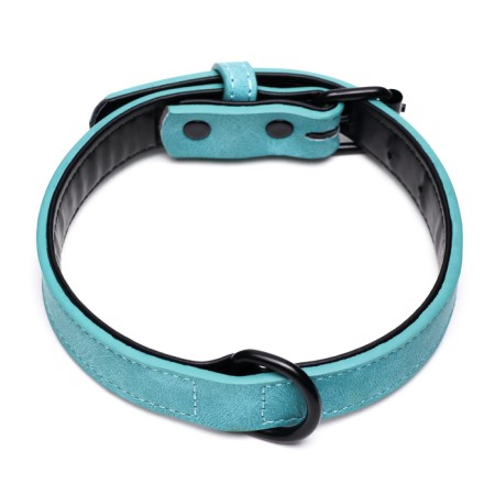 A collar with a remote ring "Mona", 42 x 2 cm, mint-1