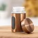 Glass capacity for spices "Style", 100 ml, 4.5 × 8 cm, bronze color