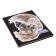 School diary for grade 1-11, “steep turn”, solid cover, “soft-tach” lamination of Velvet, an offset block 65g/m2, universal cheat sheet, 48 sheets