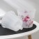 Kashpo for orchids "Fiji", 1.6 l, design mix