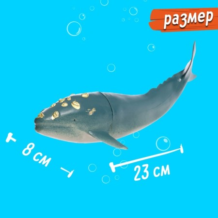 Animal Figure "Sea Resident", Mix color-2