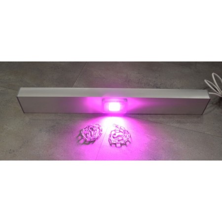 Greenhouse LED LED "Course" 50W-3