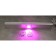 Greenhouse LED LED "Course" 50W