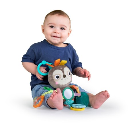 Developing toy Bright Starts "Ladight"-1