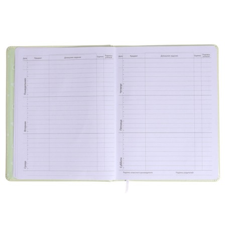 Universal diary for grade 1-11 Avocado Hug, solid cover, artificial leather, silkography, liesse, 80 g/m2-6