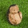 Garden figure "Hedgehog" brown, 10x6.5x10cm