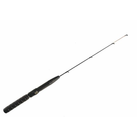 Fasting fishing rod, whip with rings