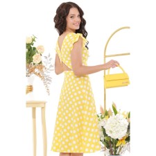 Female dress 