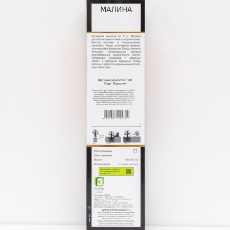 Raspberry repair varieties "Eurasia", 1 pc, tube, spring 2025-2