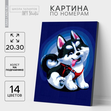 Picture on numbers on canvas with a subframe "Puppy Husky", 30x20 cm
