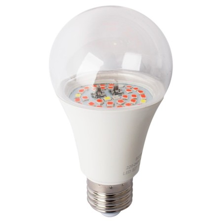 LED phytolamps, for plants, A60, 11 W, 220 °-2