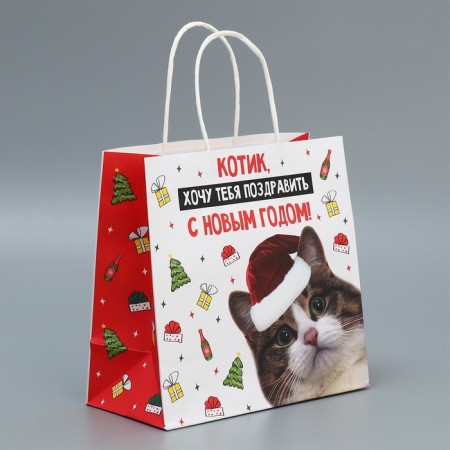 Package Gift Craft "Kotik", 22 x 22 x 11 cm, New Year-1