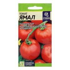 Seeds Tomat 