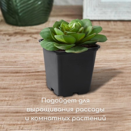 Pot for seedlings, 250 ml, d = 7 cm, h = 8 cm, black-2