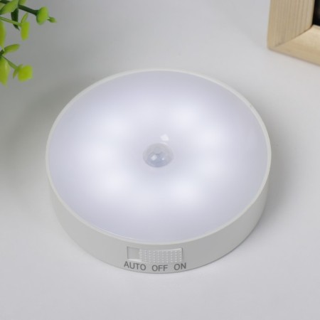Nightlight on a magnet with a light sensor LED 0.6W USB white Risalux-1