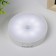 Nightlight on a magnet with a light sensor LED 0.6W USB white Risalux