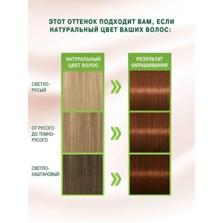 Hair dye Palette Naturals, 6-70 golden nut, 110 ml-6