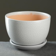 Flower Pot 