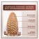Hair Cream L’Oreal Excellence Creme Universal Nudes, 2u universal very dark brown