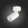 Ceiling lamp ST LUCE. ST303.502.01. 1x50 W, GU10, 10x5.4x16.8 cm, white color