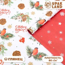 Paper packaging glossy bilateral 