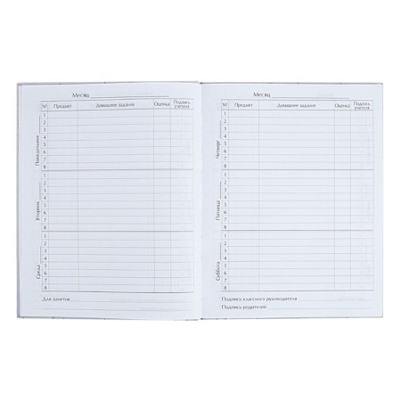 Diary for grades 5-11 "Modern Web. Anonymity", solid cover, matte lamination, selective varnish, 48 sheets-6