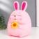 Pigpine Plastic "Bunny - Pukhlyash with heart/flower" MIX 16x15.5x23 cm