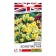Flower seeds primed spring "golden", c/p, 0.05 g