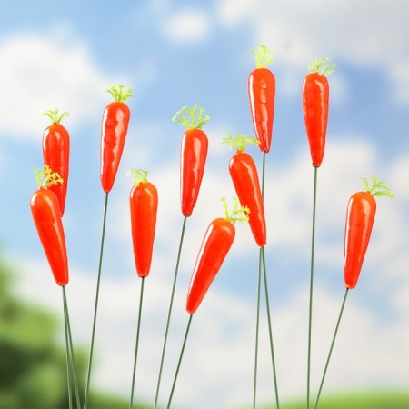 Set of plugs "carrot" 10pcs, 3cm, length 25cm-2