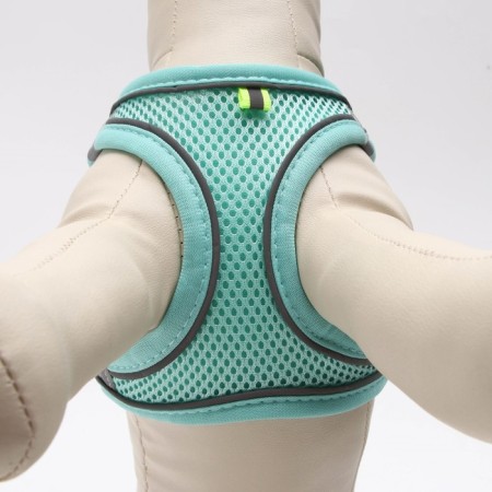 A set with a soft harness, fast-open, s, leash 150 x 1.5 cm, Osh 33-36 cm, OG 35-40 cm, turquoise-4