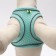 A set with a soft harness, fast-open, s, leash 150 x 1.5 cm, Osh 33-36 cm, OG 35-40 cm, turquoise
