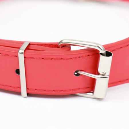 Collar "Sirius", leatherette with rivets, 56 x 3 cm, Osh 42-52, red-2
