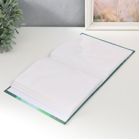 Photo album for 200 photos 10x15 cm, plastic. Bloom sheets of orchids-2